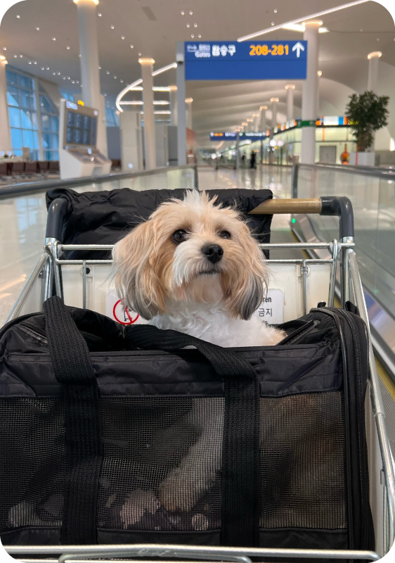 Get a Quote Form Image